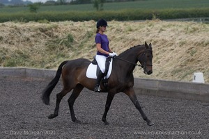 ISIS Dressage Challenge 2008